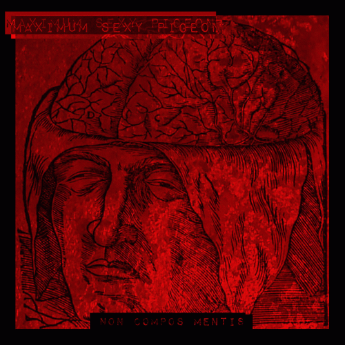 Maximum Sexy Pigeon : Non Compos Mentis